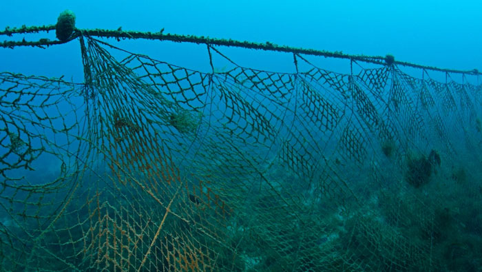 Fishing Nets