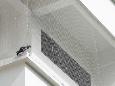 pigeon safety nets in hyderabad